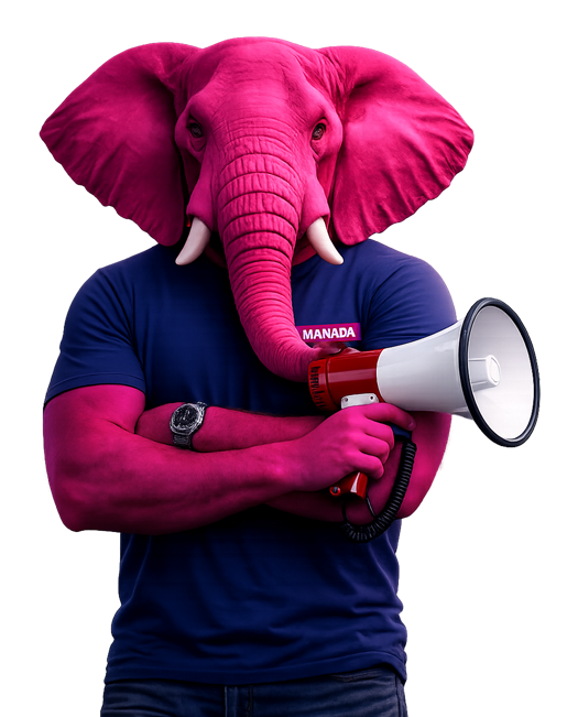 manadamidia-elefante3